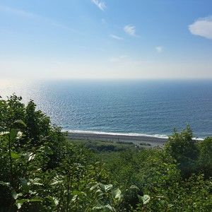 Meet your Posher, Shelly